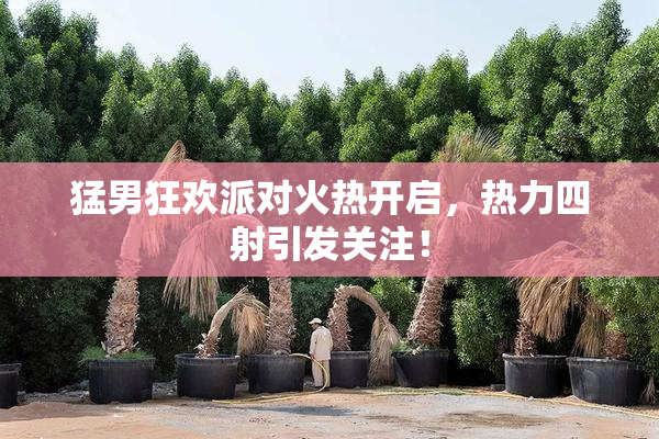 猛男狂欢派对火热开启，热力四射引发关注！