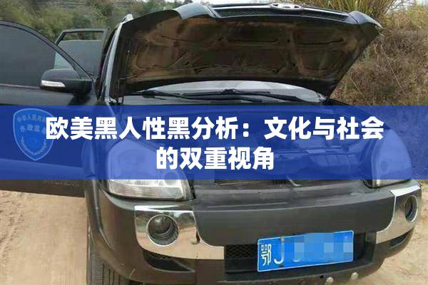 欧美黑人性黑分析：文化与社会的双重视角