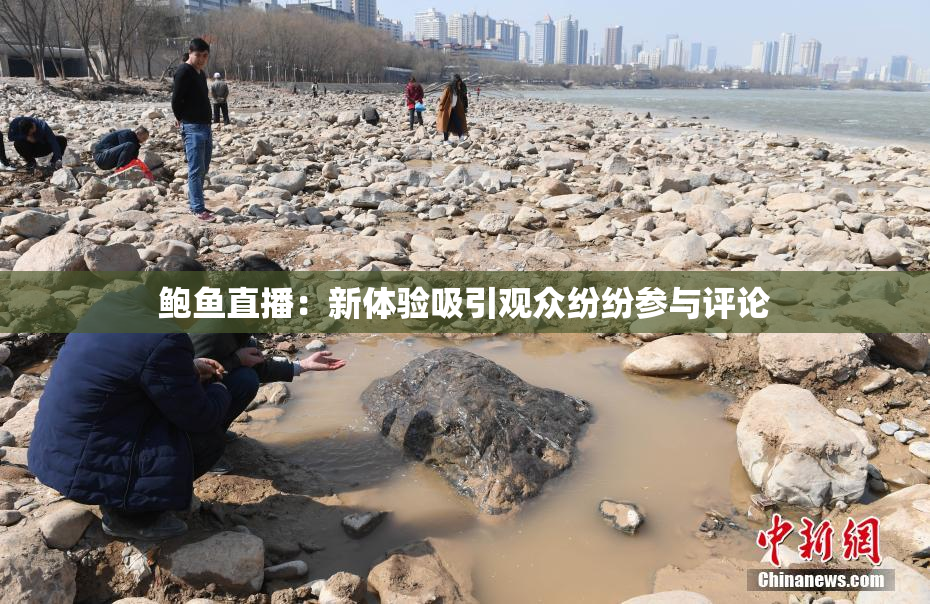 鲍鱼直播：新体验吸引观众纷纷参与评论