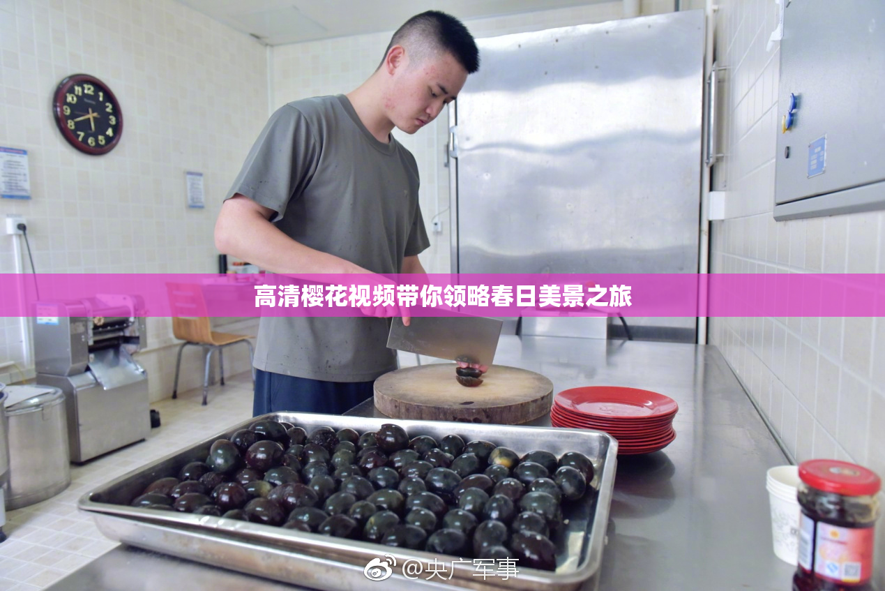 高清樱花视频带你领略春日美景之旅
