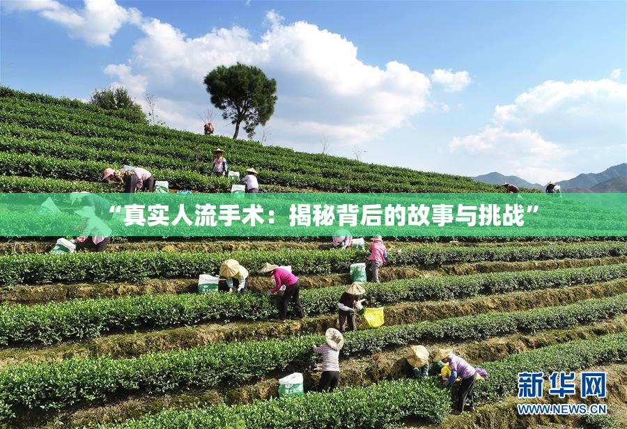 “真实人流手术：揭秘背后的故事与挑战”