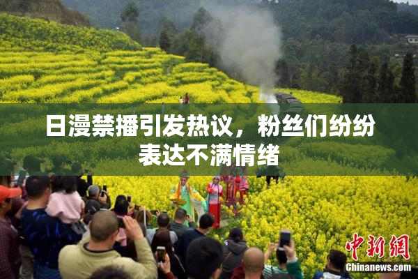日漫禁播引发热议，粉丝们纷纷表达不满情绪