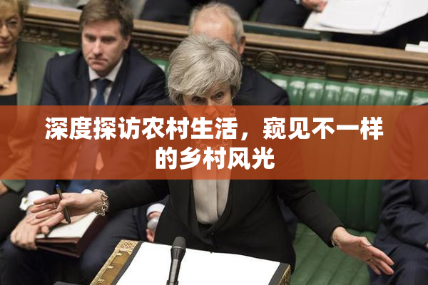 深度探访农村生活，窥见不一样的乡村风光