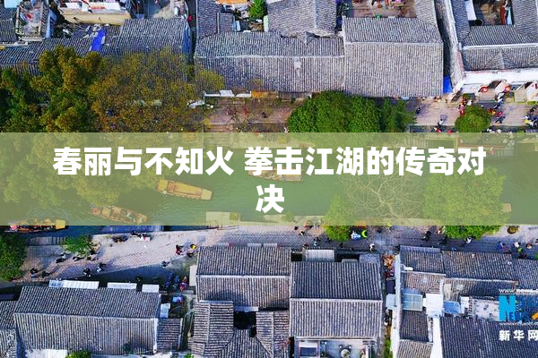 春丽与不知火 拳击江湖的传奇对决