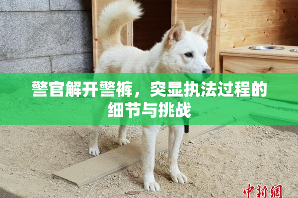 警官解开警裤，突显执法过程的细节与挑战
