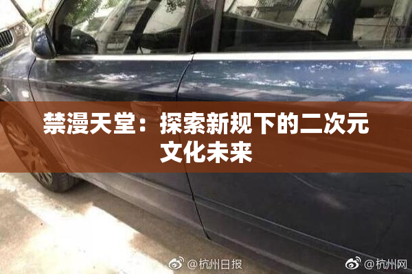 禁漫天堂：探索新规下的二次元文化未来