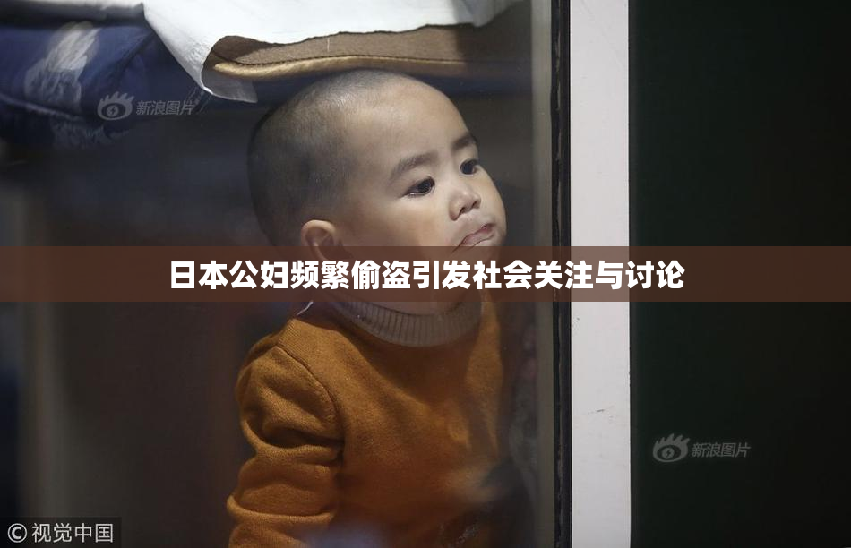 日本公妇频繁偷盗引发社会关注与讨论
