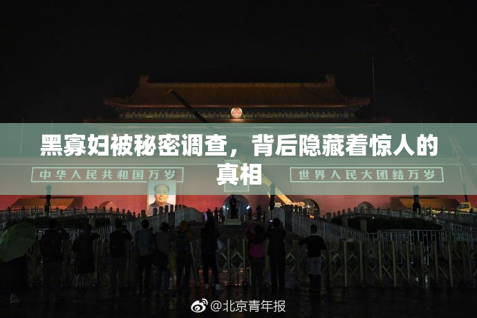 黑寡妇被秘密调查，背后隐藏着惊人的真相
