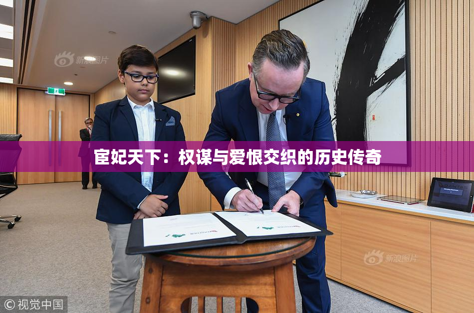 宦妃天下：权谋与爱恨交织的历史传奇
