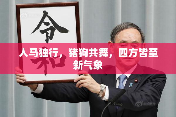 人马独行，猪狗共舞，四方皆至新气象