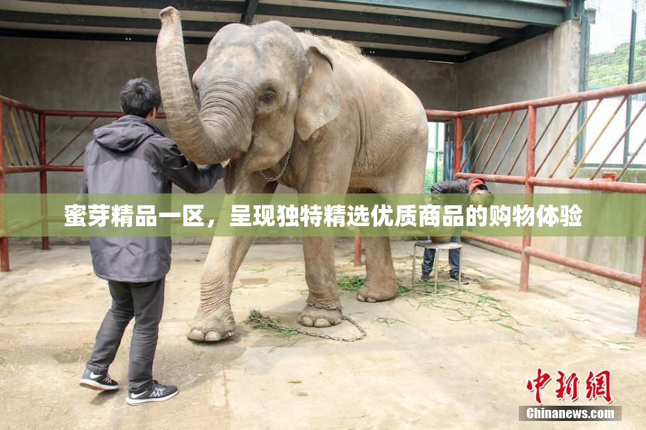 蜜芽精品一区，呈现独特精选优质商品的购物体验