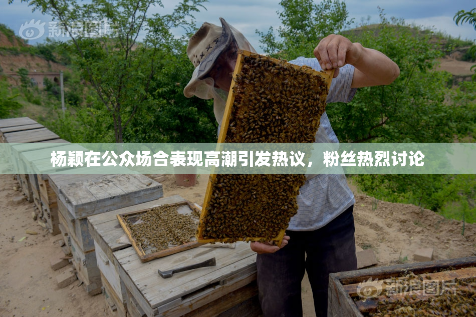 杨颖在公众场合表现高潮引发热议，粉丝热烈讨论