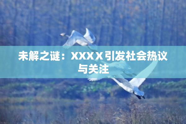 未解之谜：XXXⅩ引发社会热议与关注