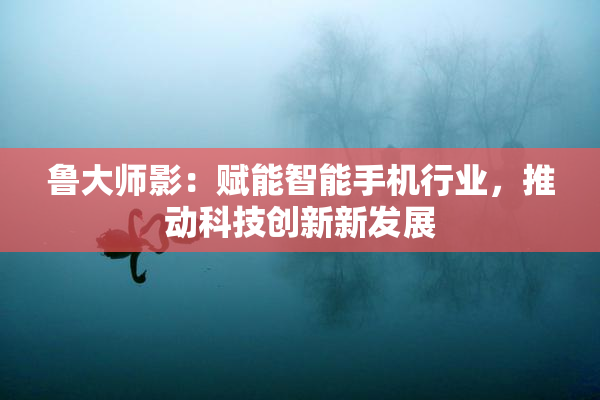 鲁大师影：赋能智能手机行业，推动科技创新新发展