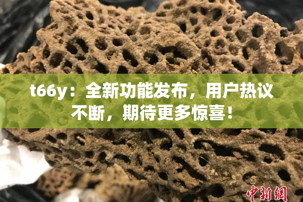 t66y：全新功能发布，用户热议不断，期待更多惊喜！
