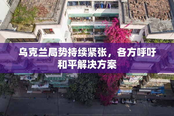 乌克兰局势持续紧张，各方呼吁和平解决方案