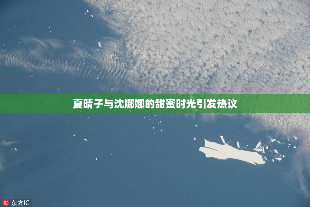 夏晴子与沈娜娜的甜蜜时光引发热议