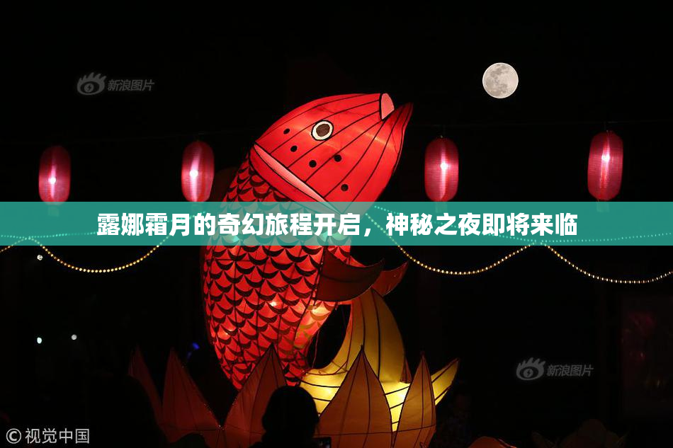 露娜霜月的奇幻旅程开启，神秘之夜即将来临