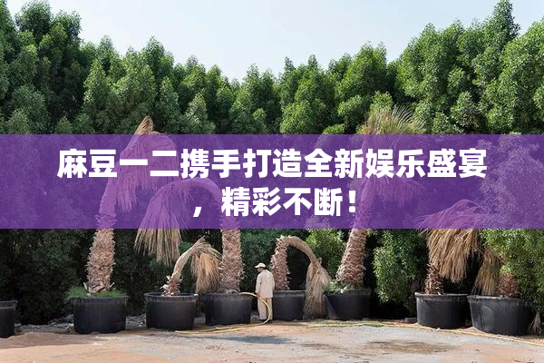 麻豆一二携手打造全新娱乐盛宴，精彩不断！