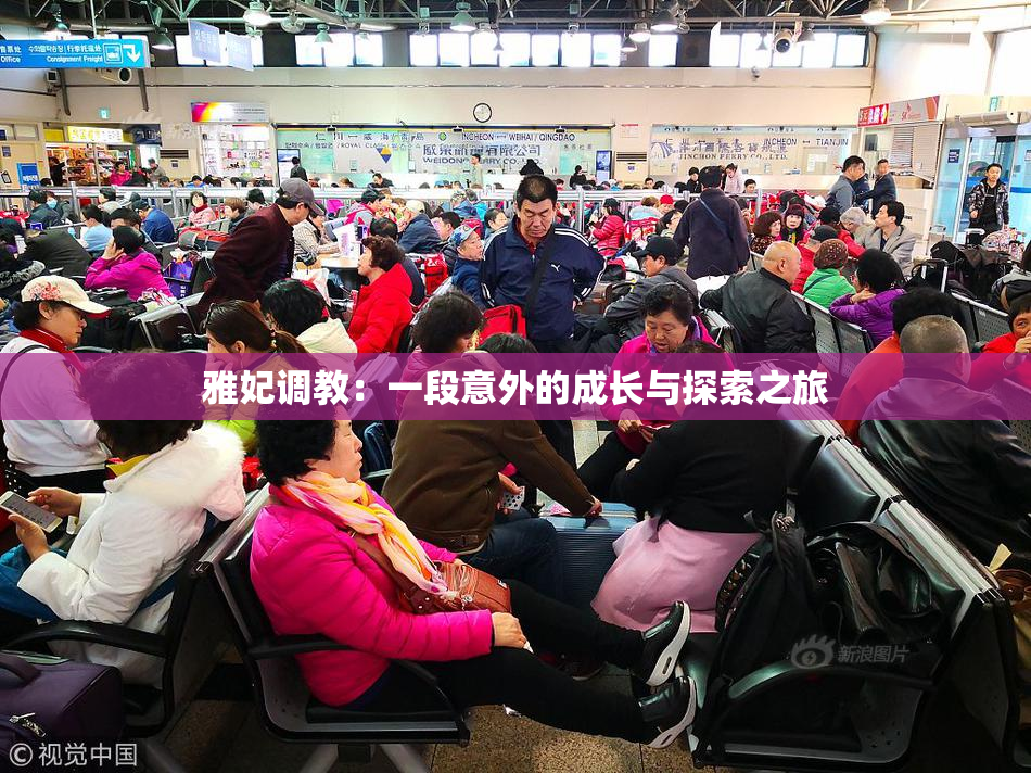 雅妃调教：一段意外的成长与探索之旅