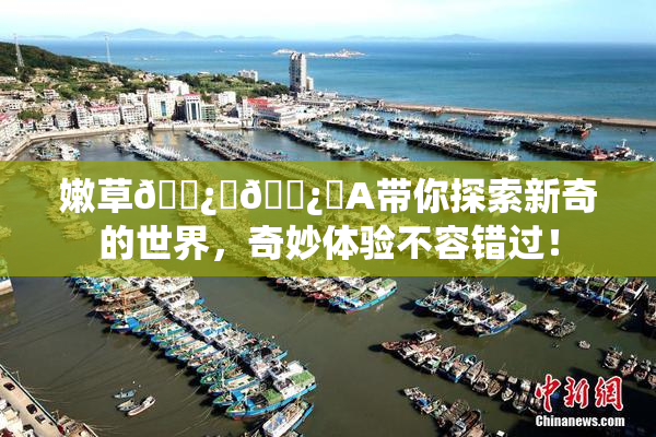 嫩草🌿‌🌿‌A带你探索新奇的世界，奇妙体验不容错过！