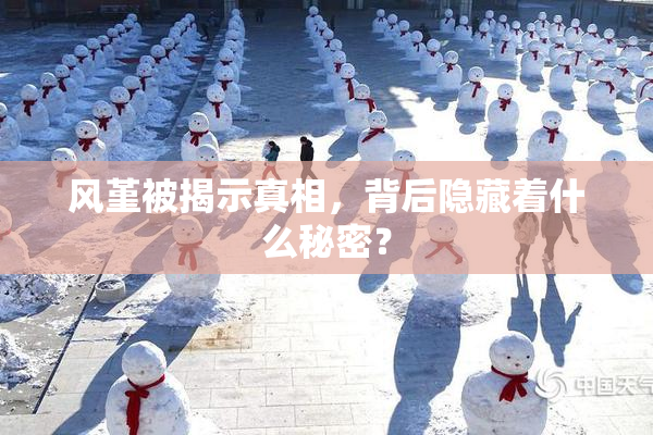 风堇被揭示真相，背后隐藏着什么秘密？