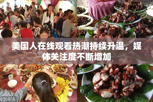 美国人在线观看热潮持续升温，媒体关注度不断增加