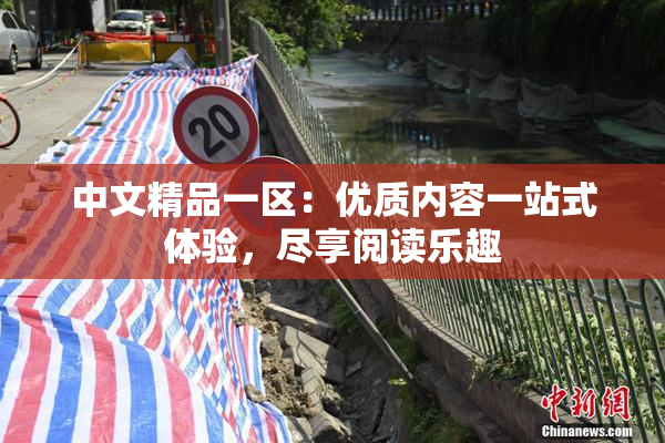中文精品一区：优质内容一站式体验，尽享阅读乐趣