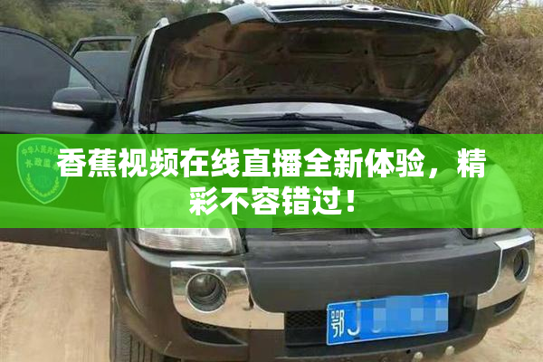 香蕉视频在线直播全新体验，精彩不容错过！