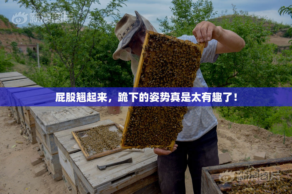 屁股翘起来，跪下的姿势真是太有趣了！