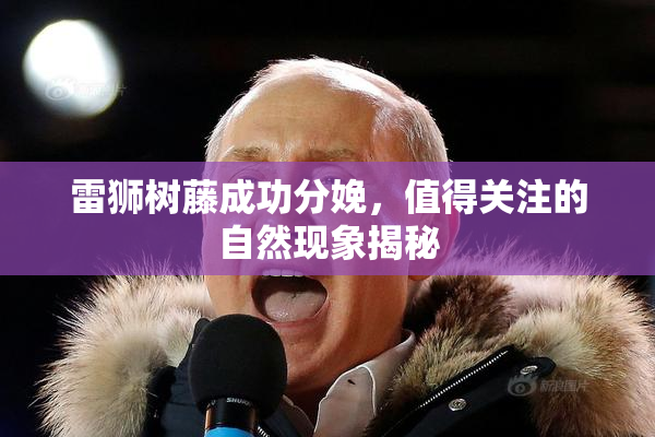 雷狮树藤成功分娩，值得关注的自然现象揭秘