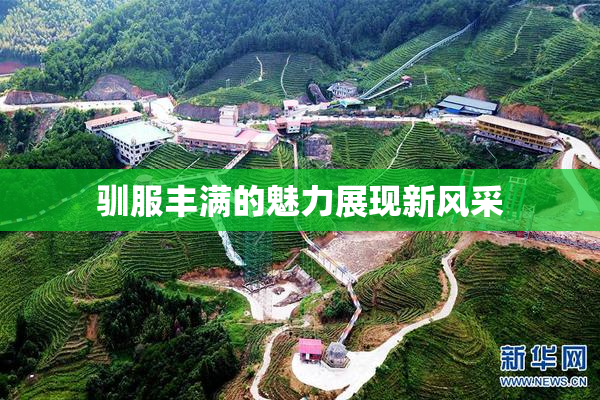驯服丰满的魅力展现新风采