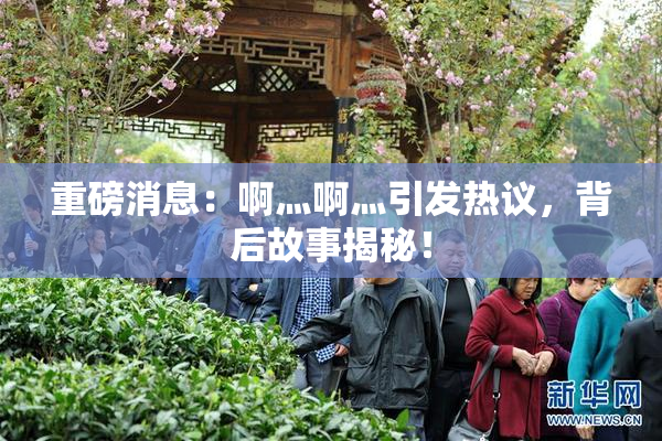 重磅消息：啊灬啊灬引发热议，背后故事揭秘！