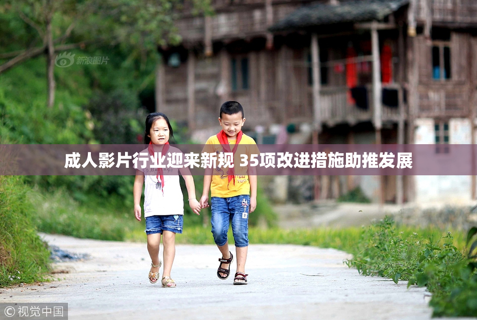成人影片行业迎来新规 35项改进措施助推发展