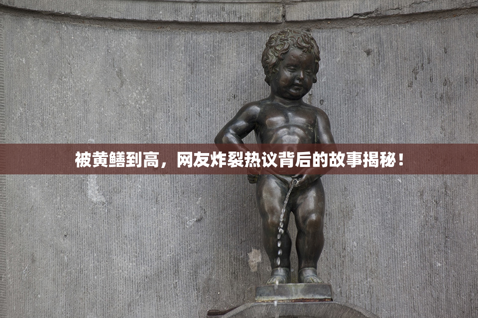 被黄鳝到高，网友炸裂热议背后的故事揭秘！