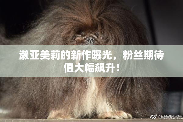 濑亚美莉的新作曝光，粉丝期待值大幅飙升！