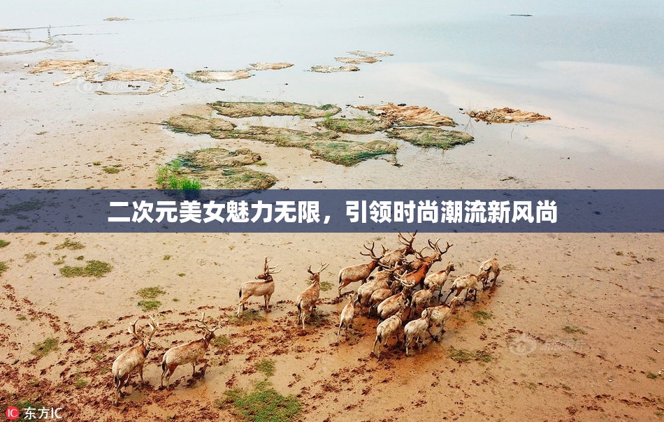 二次元美女魅力无限，引领时尚潮流新风尚
