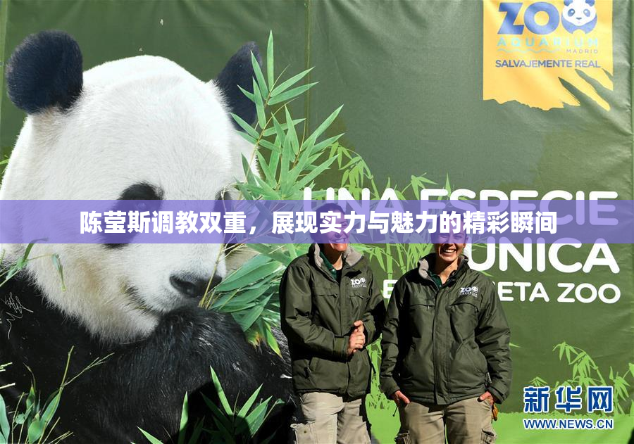 陈莹斯调教双重，展现实力与魅力的精彩瞬间