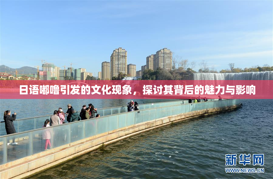 日语嘟噜引发的文化现象，探讨其背后的魅力与影响