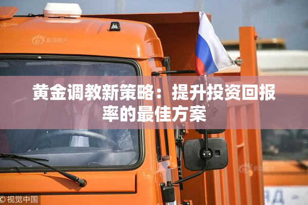 黄金调教新策略：提升投资回报率的最佳方案