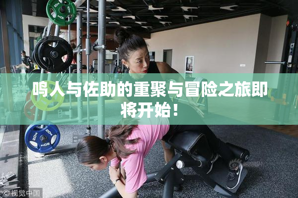 鸣人与佐助的重聚与冒险之旅即将开始！