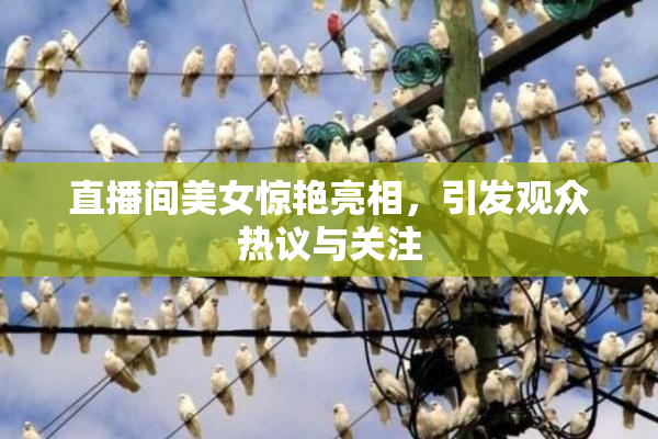 直播间美女惊艳亮相，引发观众热议与关注