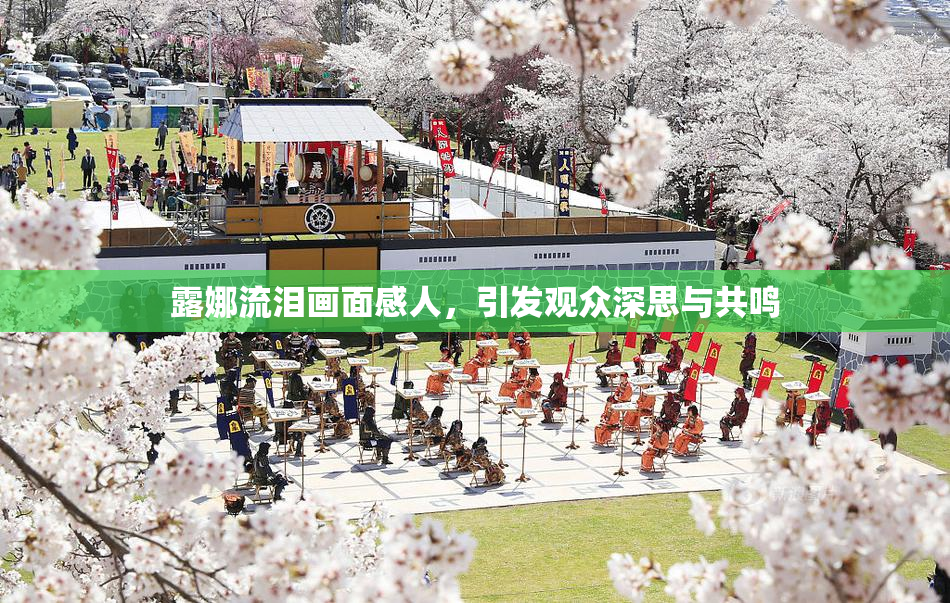 露娜流泪画面感人，引发观众深思与共鸣