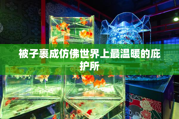 被子裹成仿佛世界上最温暖的庇护所