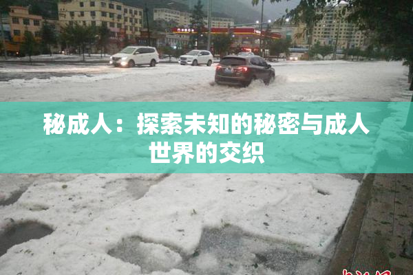 秘成人：探索未知的秘密与成人世界的交织