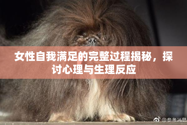 女性自我满足的完整过程揭秘，探讨心理与生理反应