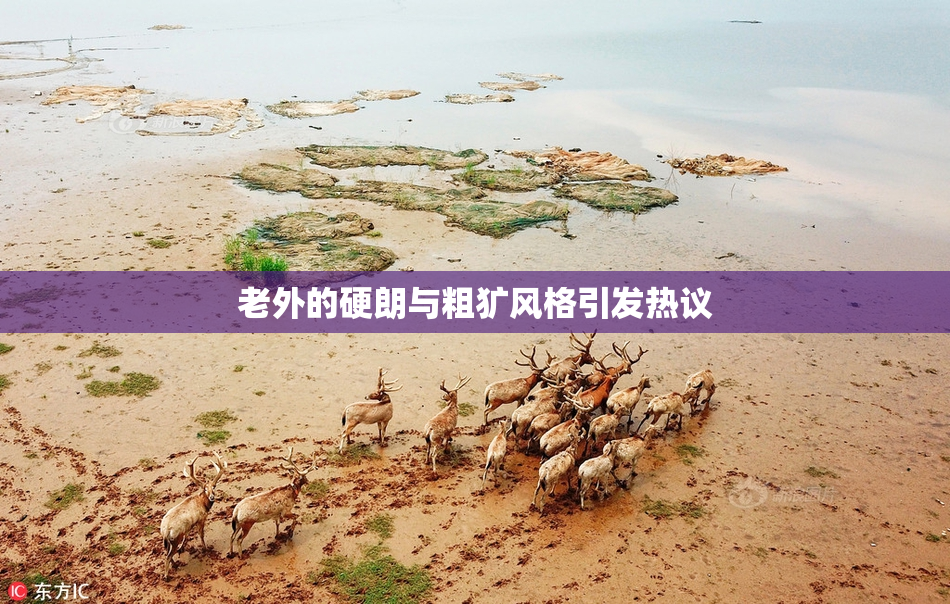 老外的硬朗与粗犷风格引发热议