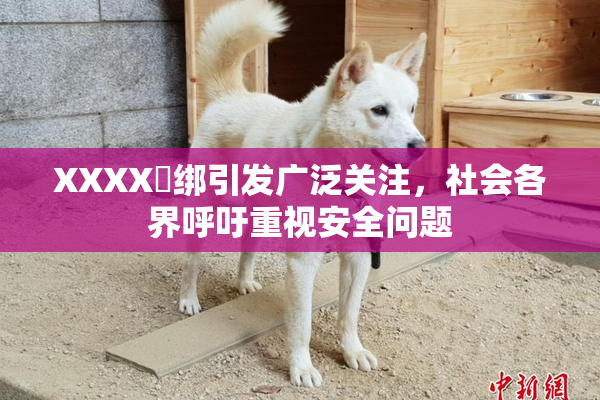 XXXX秵绑引发广泛关注，社会各界呼吁重视安全问题