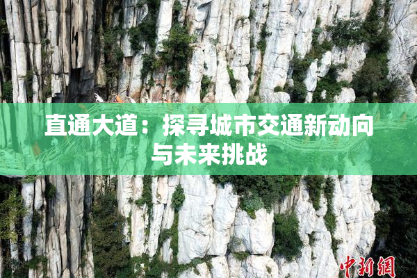 直通大道：探寻城市交通新动向与未来挑战