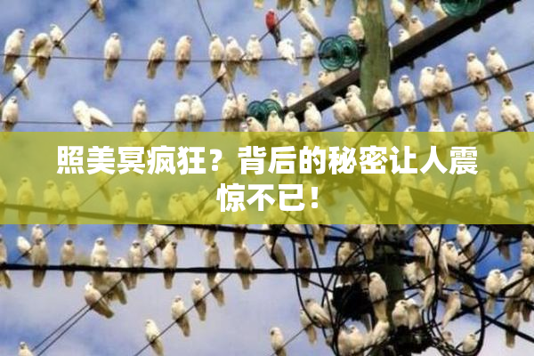 照美冥疯狂？背后的秘密让人震惊不已！